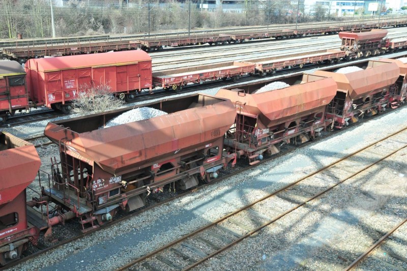 MCS_4426.jpg