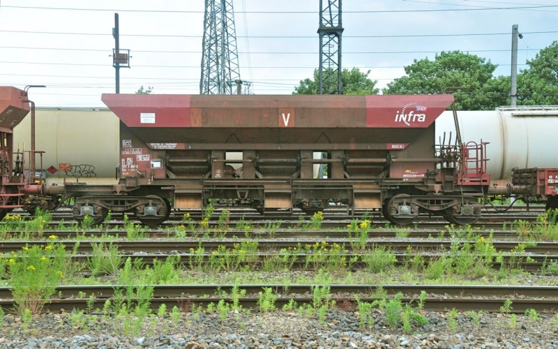 MCS_1828.jpg