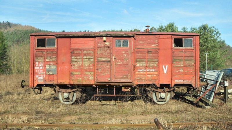 MCS_9829.jpg