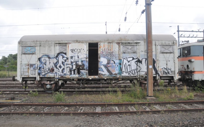 MCS_1131.jpg
