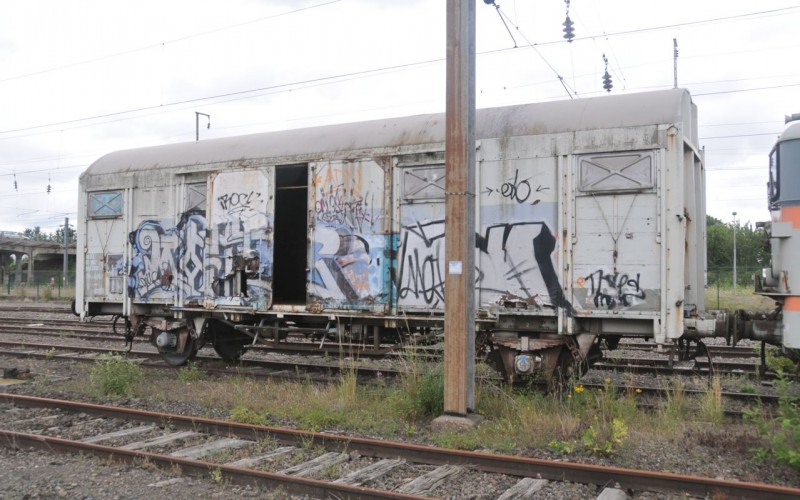MCS_1130.jpg