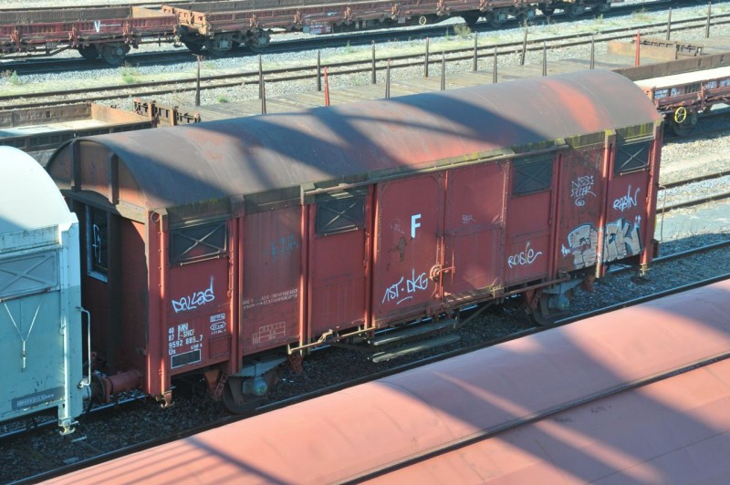MCS_7918.jpg