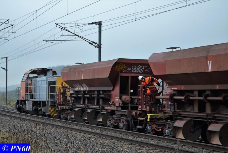 DSC_0295 (Copier).JPG