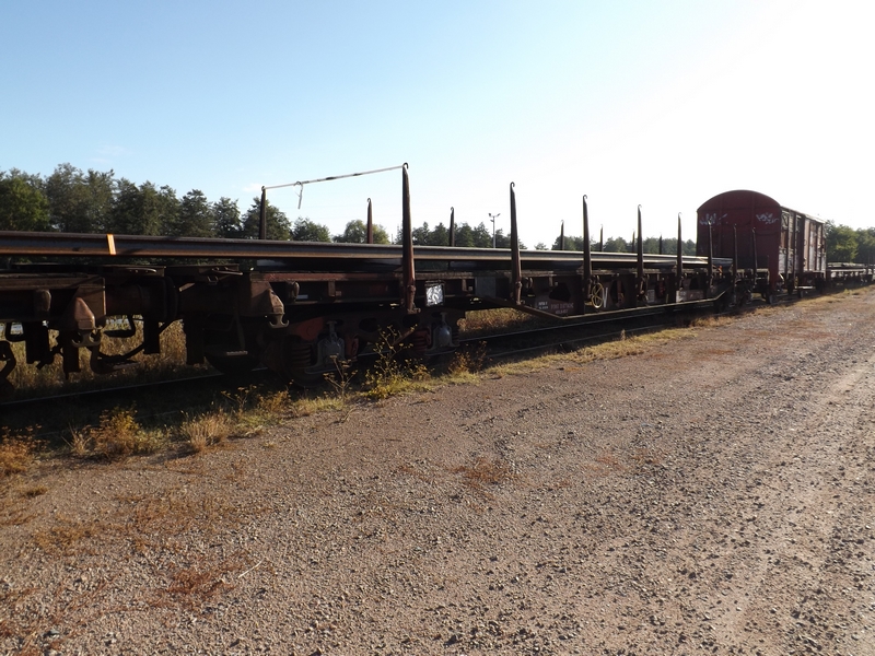 DSCF8311 (Copier).JPG