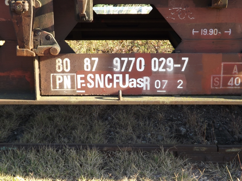 DSCF8309 (Copier).JPG