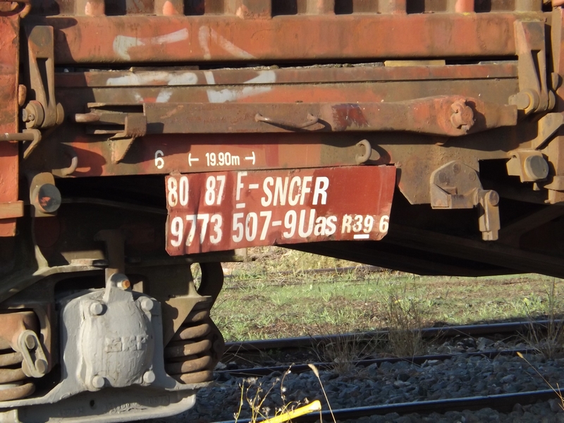 DSCF8198 (Copier).JPG