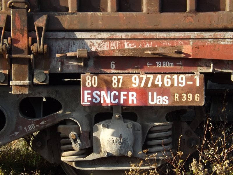 DSCF8193 (Copier).JPG