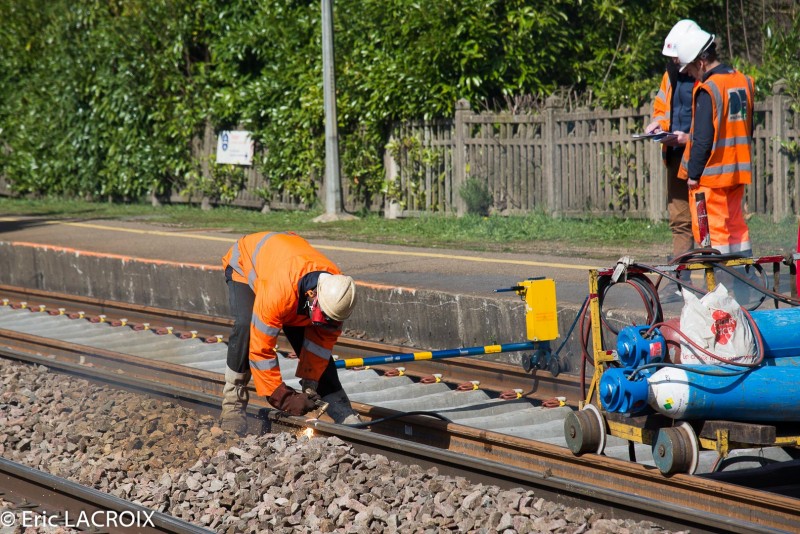 Train 2017 03 22 (353).jpg