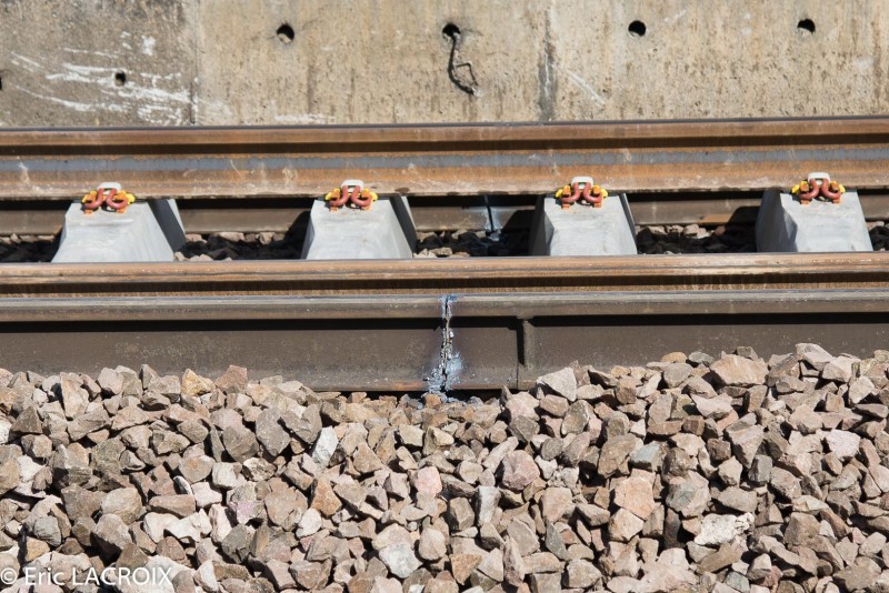 Train 2017 03 22 (371).jpg