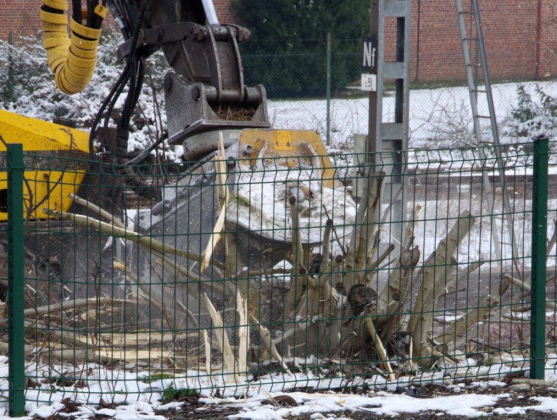2018-02-08 Eppeville Débrousaillage (14).jpg