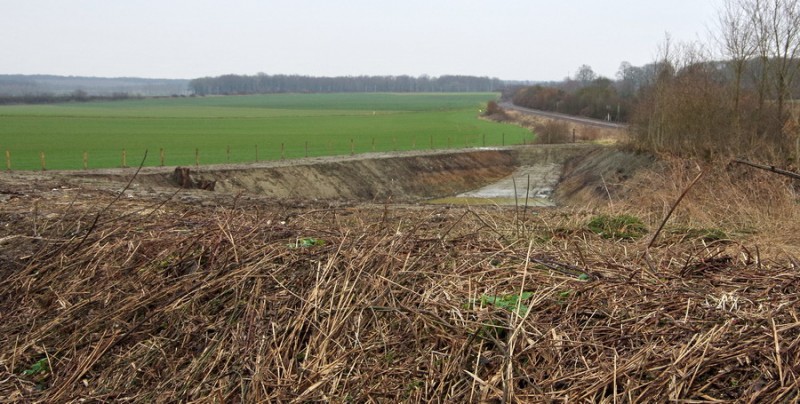 2018-02-19 bassin des eaux pluviales Jussy.jpg