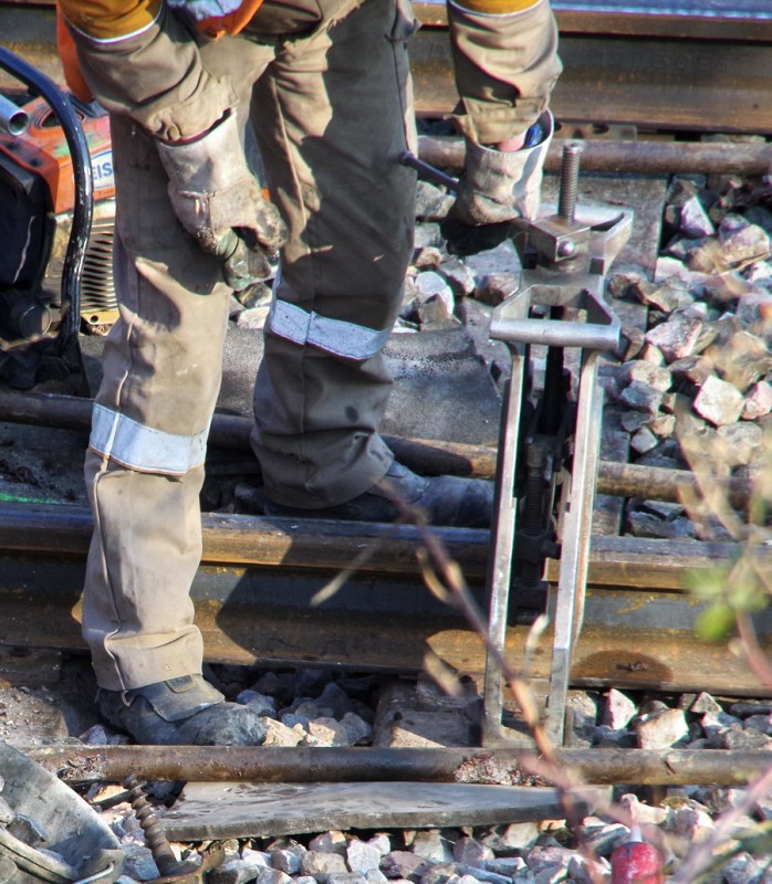 2018-02-22 bif de Jussy (4).jpg (306.79 Kio) Vu 1970 fois 2018-02-22 bif de Jussy (4).jpg