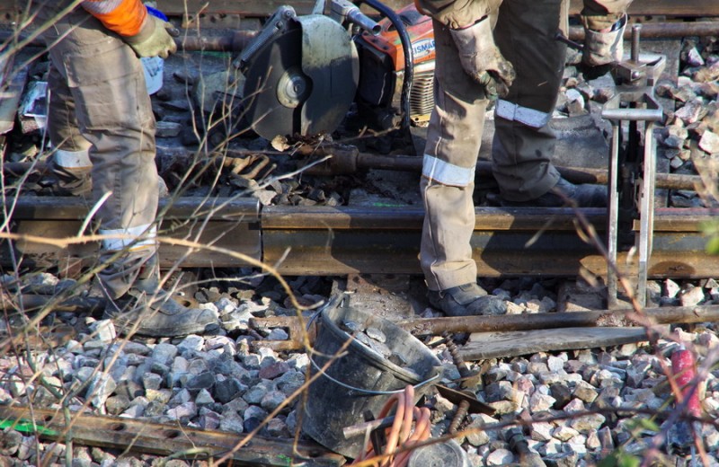 2018-02-22 bif de Jussy (3).jpg (226.33 Kio) Vu 1970 fois 2018-02-22 bif de Jussy (3).jpg