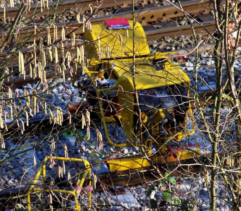 2018-02-22 bif de Jussy (2).jpg (394.08 Kio) Vu 1963 fois 2018-02-22 bif de Jussy (2).jpg