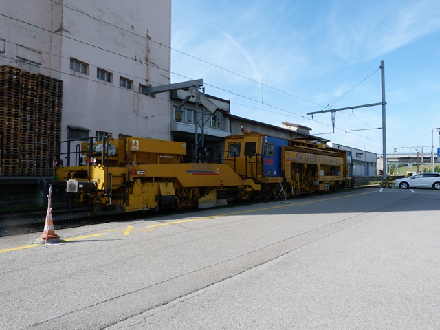 008.JPG